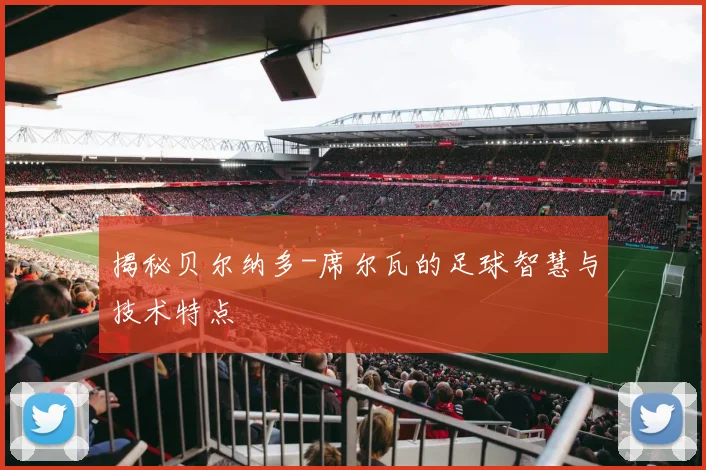 揭秘贝尔纳多-席尔瓦的足球智慧与技术特点