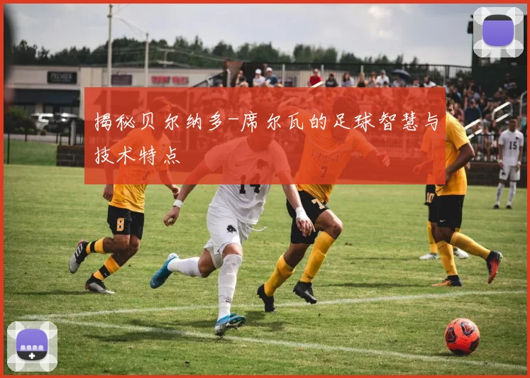 揭秘贝尔纳多-席尔瓦的足球智慧与技术特点